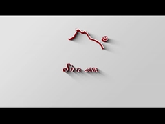 スウェードクリーナー HY-353